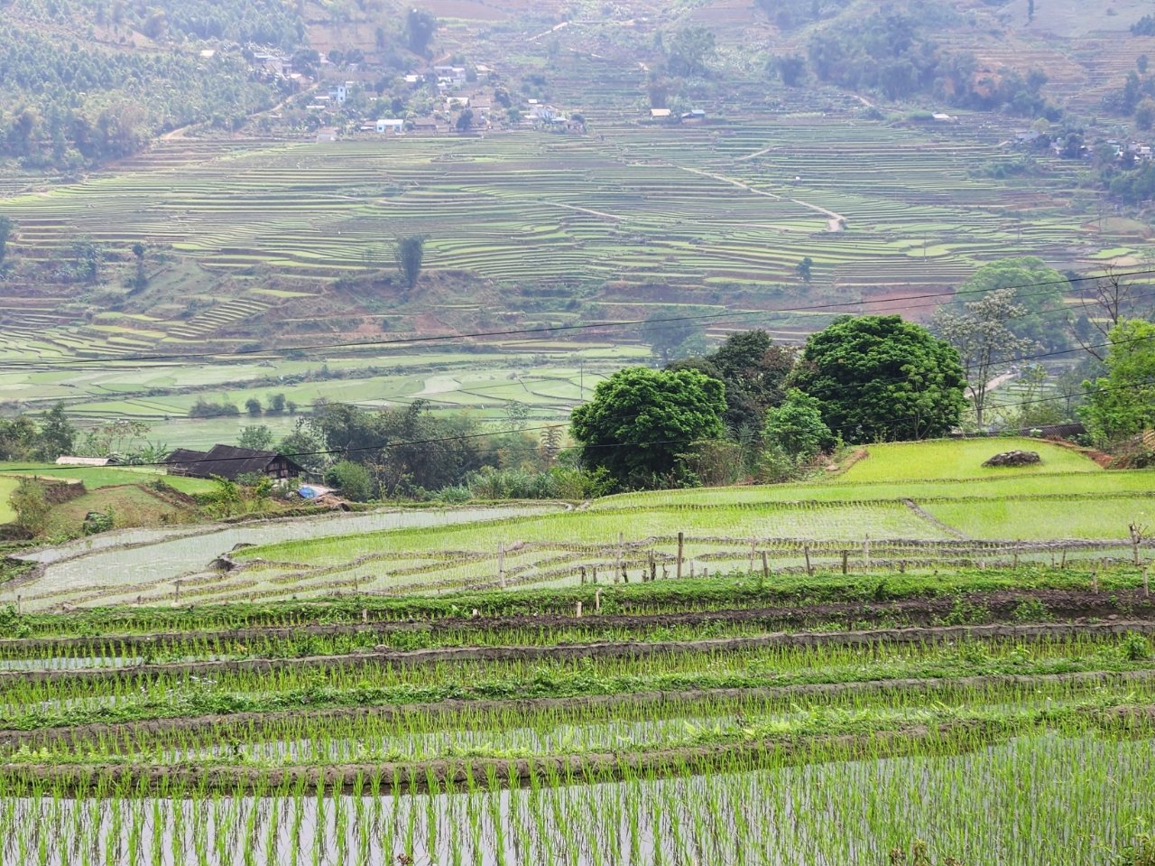 7-Day Mountain Biking: Hoang Su Phi to Sapa Expedition